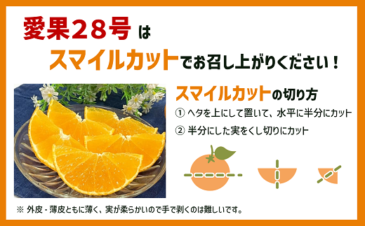 ã2026幎å
è¡äºçŽã ææ28å· çŽ3.3kgÃ4ç®± ãå®¶åºçš ã¿ãã çŽ
ãŸã©ããªãšååçš® ææ© æåª ã2026幎11æäžæ¬ããé æ¬¡çºéäºå®ã æ°ééå® äººæ° äŒäºåžïœE19