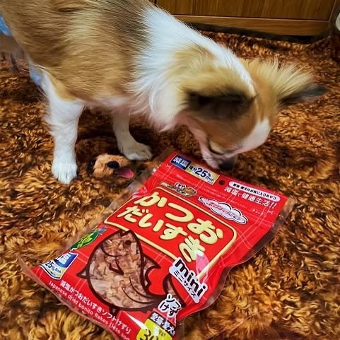 ペットフード マルトモ 減塩かつおだいすきソフトミニ30g×30個セット おやつ ふりかけ かつお 鰹 ソフト 減塩 犬 猫 国産 国内加工 保存料 着色料 不使用 伊予市｜D120