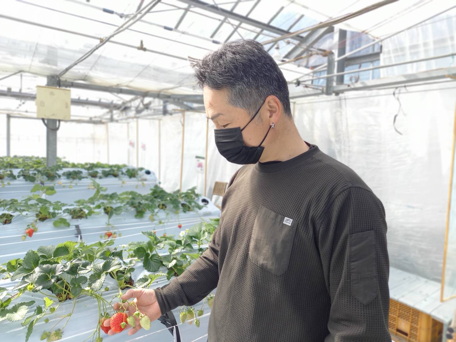 ãã¡ã 2ãã㯠蟲åçŽé ã©ã³ãã 2åçš® é£ã¹æ¯ã¹ ãã¡ã®ã ããCããªãŒ ããŸããšã çŽ
ãé« ãããé ã¹ã¿ãŒãã€ã ã¿ãã®ã æ°ééå® æåª äººæ° äŒäºåž ããŒãªã蟲åïœB201