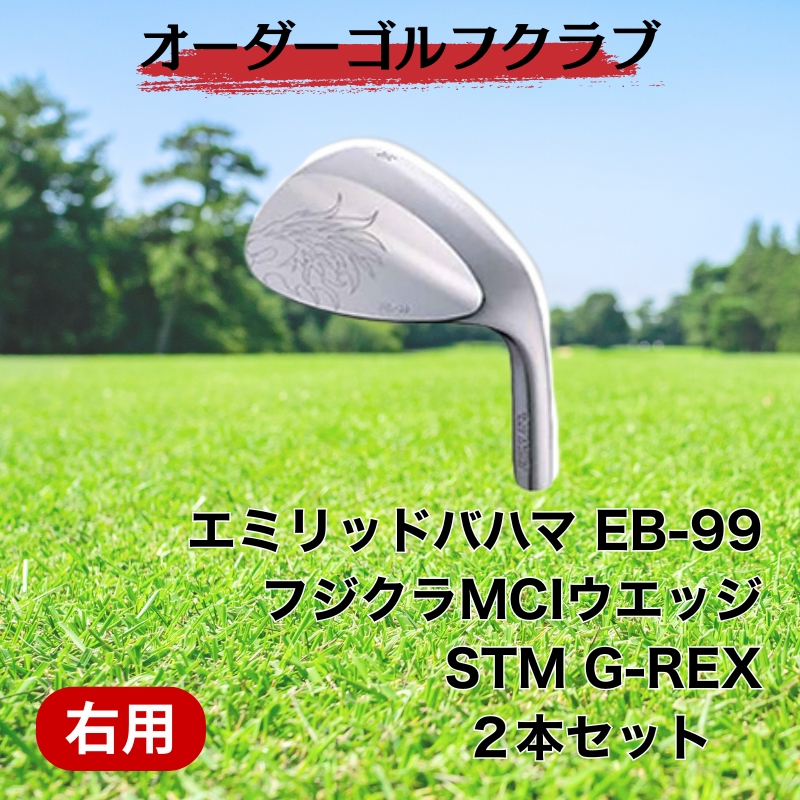 ゴルフ ゴルフクラブ エミリッドバハマEBー99ウエッジ２本セット オーダーメイド アイズファクトリー｜F34