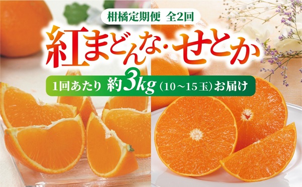 紅まどんな・せとか 青秀 定期便（全2回） 約3kg L～3L（15～10玉） 人気 数量限定 柑橘 伊予市 | D33