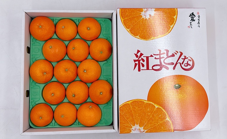 【2026年先行予約】みかん 紅まどんな 青秀 L～2Lサイズ 3kg 化粧箱 【2026年11月中旬以降順次発送】 数量限定 人気 柑橘 愛媛 伊予市｜C196