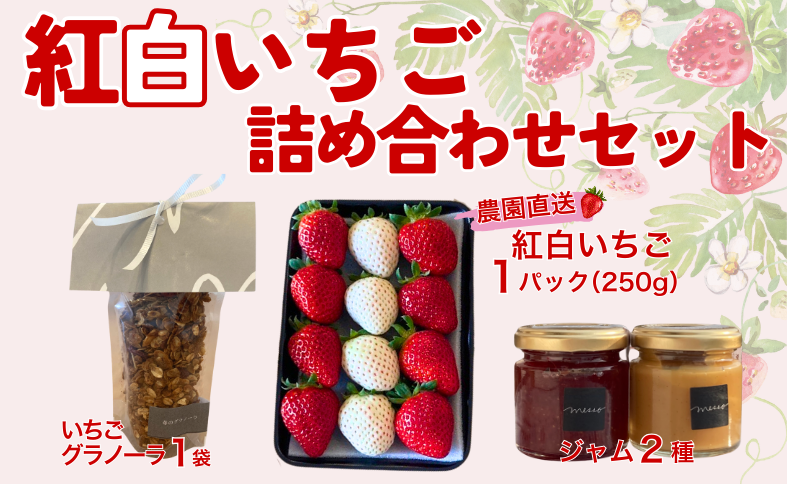 イチゴジャム 無添加 紅白いちご ミルクジャム グラノーラ 数量限定 農園直送 くぼなか農園 愛媛 人気 伊予市｜B210