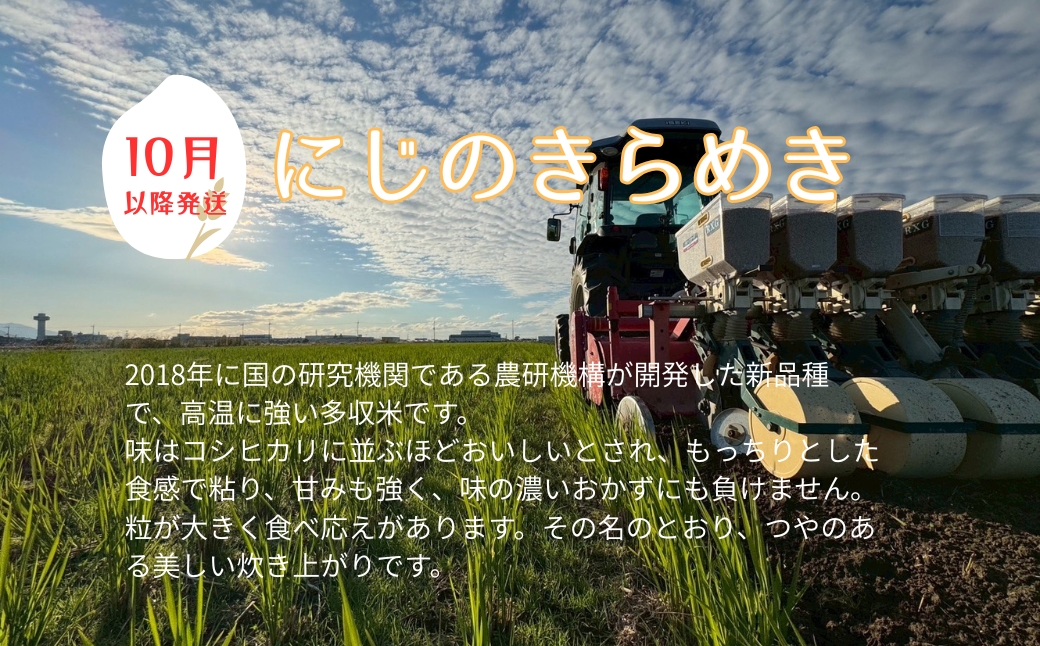 お米 令和7年産 5kg にじのきらめき 特別栽培米  先行予約  【2025年10月以降発送】 精米 米 こめ コメ 白米 ごはん ライス 愛媛 伊予市｜C148
