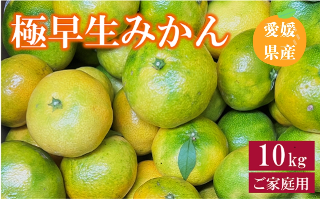 極æ©çã¿ãã 10kg ãå®¶åºçš 蟲åçŽé å
è¡äºçŽ 10æçºé æåª æ°ééå® æåªçç£ äººæ° ææ© äŒäºåžïœB254