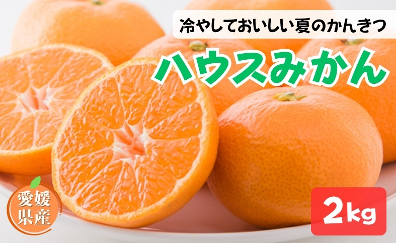 ハウスみかん ご家庭用 2kg 【7月下旬から順次発送予定】 みかん 人気 数量限定 柑橘 愛媛 伊予市｜B547