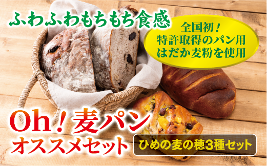 【愛媛県産大麦（はだか麦）使用】Ｏｈ！麦パン　オススメセット　パン　篠崎ベーカリー  伊予市 老舗 | A76