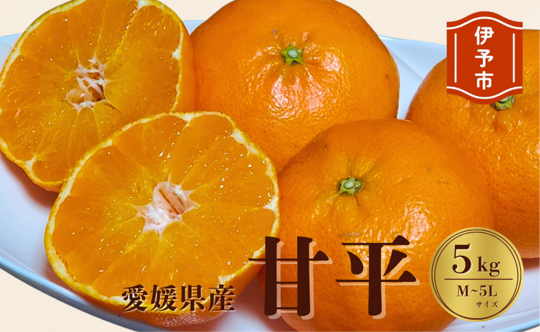 みかん 愛媛 甘平（5kg）サイズM〜5L 人気 数量限定 先行予約 柑橘 伊予市 【2026年1月下旬から順次発送予定】｜B104
