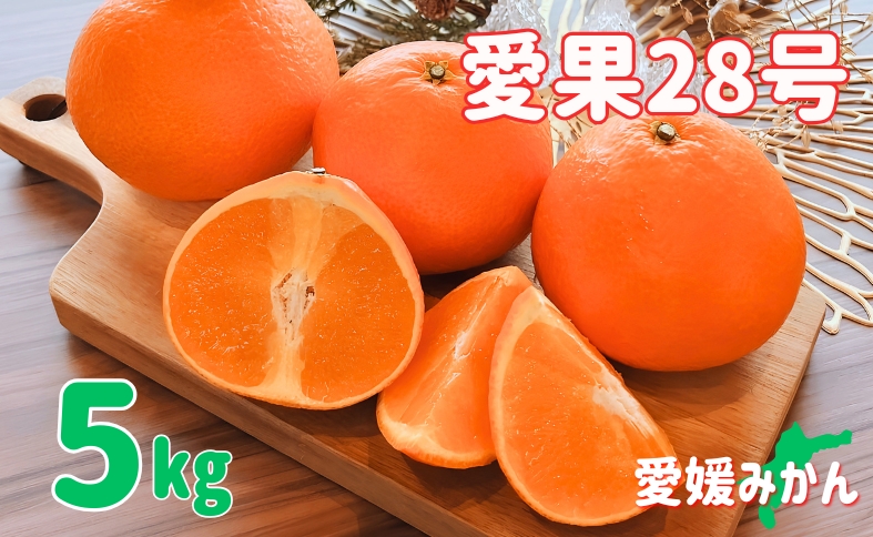 【2026年先行予約】 みかん 愛媛 愛果28号 紅まどんなと同一品種 5kg 家庭用 人気 数量限定 柑橘 伊予市【2026年11月下旬以降順次発送】｜C120