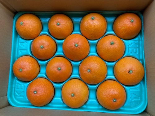 ã¿ãã ææ28å· Mãµã€ãº 14ç èŽççš çŽ
ãŸã©ããªãšåäžåçš® 蟲åçŽé å
è¡äºçŽ ã2026幎11æäžæ¬ããé æ¬¡çºéäºå®ã æåª æ°ééå® æåªçç£ äººæ° ææ© äŒäºåžïœ B530