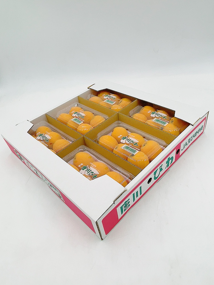 びわ 唐川びわ 先行予約 350g×6パック入り【2026年5月下旬以降発送】｜B124