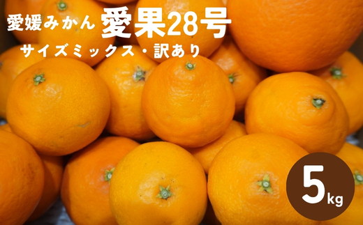 訳あり 愛果28号 5kg サイズミックス 【2026年1月以降発送】 紅まどんなと同一品種 みかん 愛媛 数量限定 先行予約 柑橘 伊予市｜B220