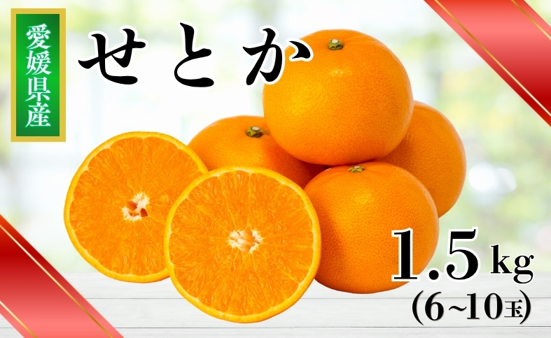 【2027年先行予約】みかん 愛媛 せとか (1.5kg) 人気 数量限定 【2027年2月下旬以降発送予定】 柑橘 愛媛 伊予市｜B30