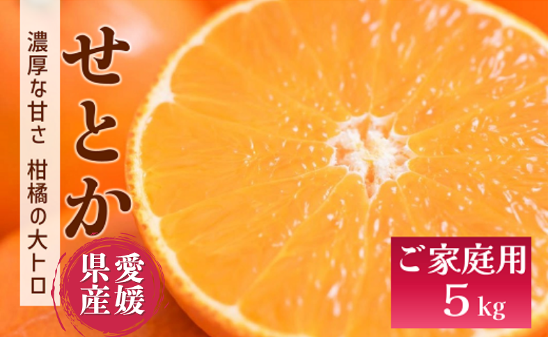 せとか バラ詰め 5kg 先行予約 【2026年2月以降発送】 愛媛 数量限定 愛媛県産 人気 柑橘 伊予市｜C55