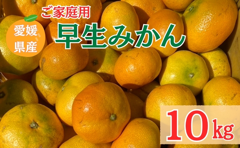 【2026年先行予約】 早生みかん 10kg ご家庭用 農園直送 【11月以降順次発送予定】 愛媛 数量限定 愛媛県産 人気 柑橘 伊予市｜B255