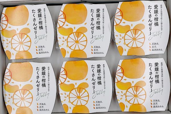 みかん  愛媛の柑橘 たくさんゼリー 6個セット 人気 数量限定 柑橘 伊予市｜B279