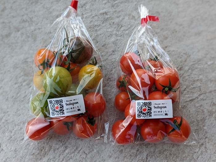 ミニトマト 160g〜180g×10袋 カラートマト 【2025年12月上旬から順次発送予定】 食べくらべ 農園直送 完熟 愛媛 人気 伊予市｜B81