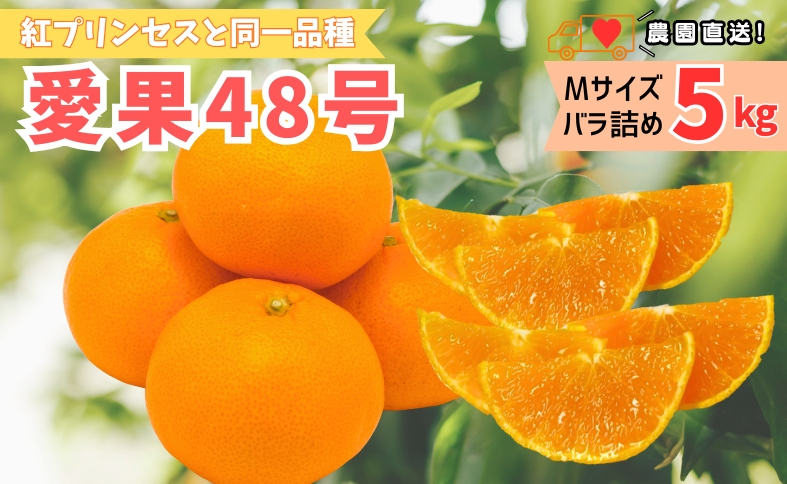 【2027年先行予約】みかん 愛果48号 5kg Mサイズ バラ詰め 贈答用 【2027年3月中旬より順次発送予定】 紅プリンセスと同一品種 農園直送 愛媛 数量限定 愛媛県産 人気 柑橘 伊予市｜C192