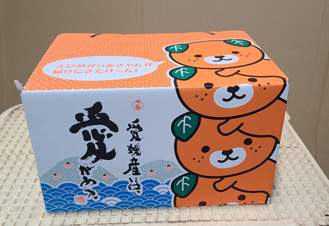  レモン 愛媛 施設レモン ハウスレモン 2kg 数量限定 檸檬 柑橘 フルーツ ビタミン 池内果樹園 国産 伊予市｜A124