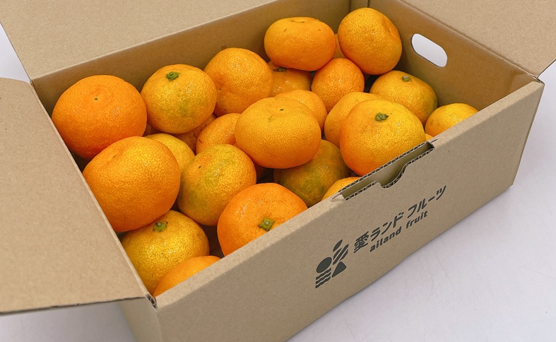 ハウスみかん ご家庭用 2kg 【7月下旬から順次発送予定】 みかん 人気 数量限定 柑橘 愛媛 伊予市｜B547