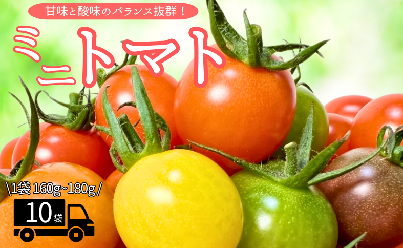 ミニトマト 160g〜180g×10袋 カラートマト 【2025年12月上旬から順次発送予定】 食べくらべ 農園直送 完熟 愛媛 人気 伊予市｜B81