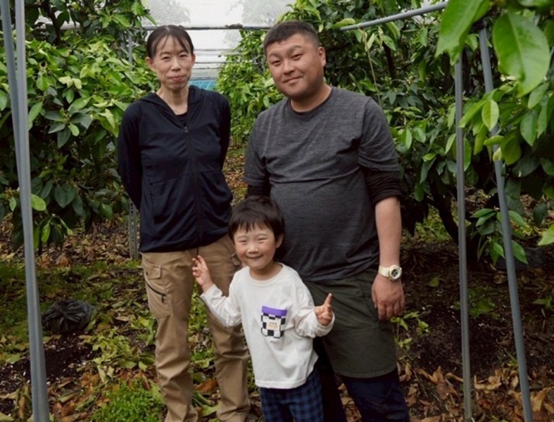 レモン 3kg ご家庭用 バラ詰め ユーレカ 愛媛 【2026年10月から順次発送予定】 数量限定 檸檬 柑橘 フルーツ ビタミン 国産 伊予市｜B459