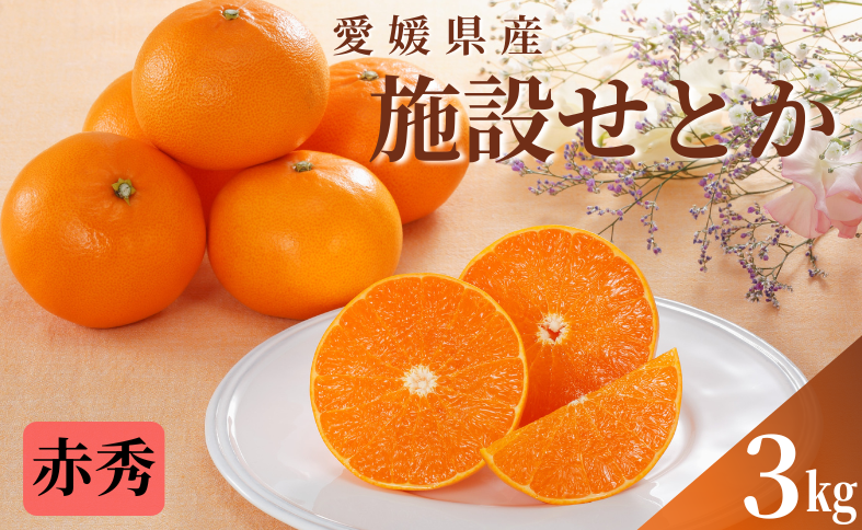 みかん 愛媛 せとか（施設）赤秀 約3kg Ｌ～3Ｌ（15玉～10玉） 【2026年2月下旬から順次発送予定】 人気 数量限定 柑橘 伊予市｜C43