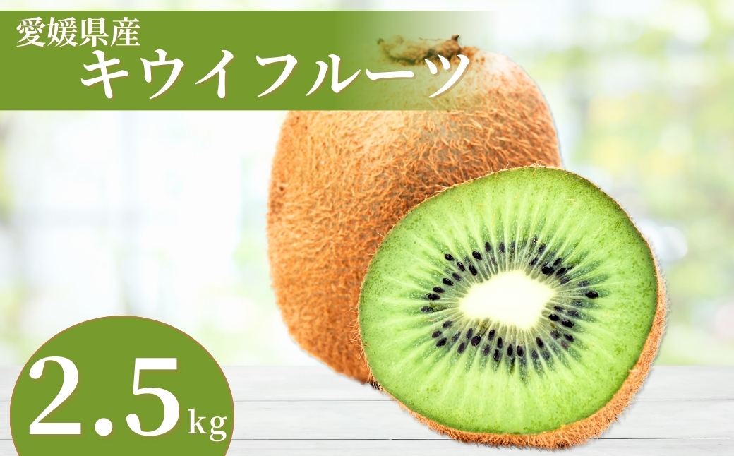 キウイ 2.5kg 愛媛 国産キウイフルーツ ヘイワード 先行予約 【2026年11月から順次発送予定】 数量限定 伊予市｜A20