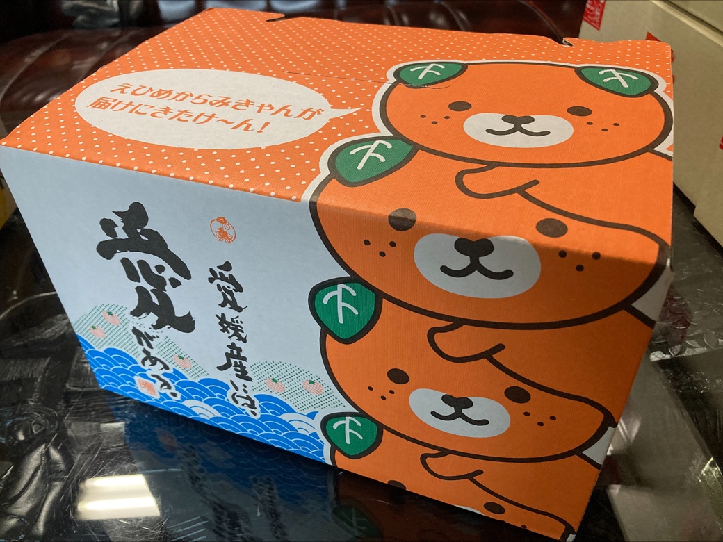 【2026年先行予約】 みかん 愛果28号 3kg MLサイズ バラ詰め 紅まどんな同一品種 【2026年12月以降順次発送予定】 みきゃん箱 愛媛 数量限定 愛媛県産 人気 柑橘 フルーツ 国産 おすすめ 伊予市｜B533