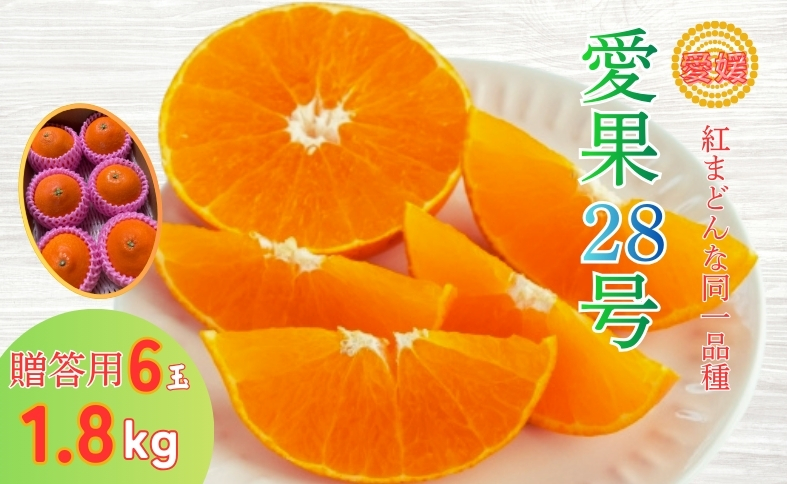 みかん 愛果28号 1.8kg 6玉 贈答用 紅まどんな同一品種 先行予約 【2026年12月以降順次発送予定】 愛媛 数量限定 愛媛県産 人気 柑橘 フルーツ 国産 おすすめ 伊予市｜B534