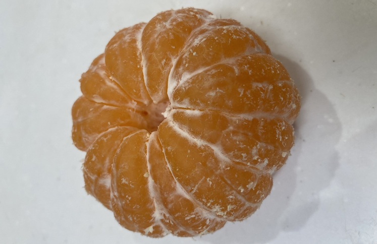 早生みかん 3kg ご家庭用 農園直送 先行予約 【11月以降順次発送予定】 愛媛 数量限定 愛媛県産 人気 柑橘 伊予市｜ A99