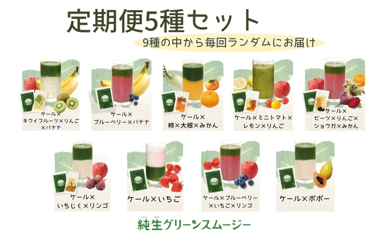 スムージー 定期便 6回 ケール 果物・野菜5種 ブルーベリー バナナ キウイフルーツ リンゴ 温州みかん ビーツ ミニトマト いちじく ポポー 冷凍 遠藤青汁 endou元気BAR 伊予市 愛媛 | F63
