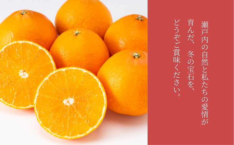 【間もなく終了】紅まどんな 1.5kg (5～13個) ご家庭用 愛媛みかん 愛果28号 紅マドンナ まどんな マドンナ みかん ミカン 蜜柑 果物 くだもの フルーツ 柑橘 かんきつ 柑橘類 愛媛果試第28号 あいか おすすめ 人気 お取り寄せ 国産 愛媛 伊予市【数量限定】＜2025年12月発送＞｜B249