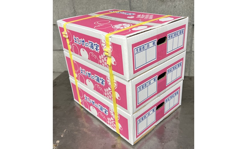 ææ28å· çŽ3.3kgÃ3ç®± ãå®¶åºçš ã¿ãã çŽ
ãŸã©ããªãšååçš® ææ© æåª ã2026幎11æäžæ¬ããé æ¬¡çºéäºå®ã å
è¡äºçŽ æ°ééå® äººæ° äŒäºåžïœD61