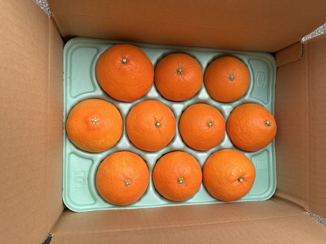 ã¿ãã ææ28å· 2Lãµã€ãº 10ç èŽççš çŽ
ãŸã©ããªãšåäžåçš® 蟲åçŽé å
è¡äºçŽ ã2026幎11æäžæ¬ããé æ¬¡çºéäºå®ã æåª æ°ééå® æåªçç£ äººæ° ææ© äŒäºåžïœ B532