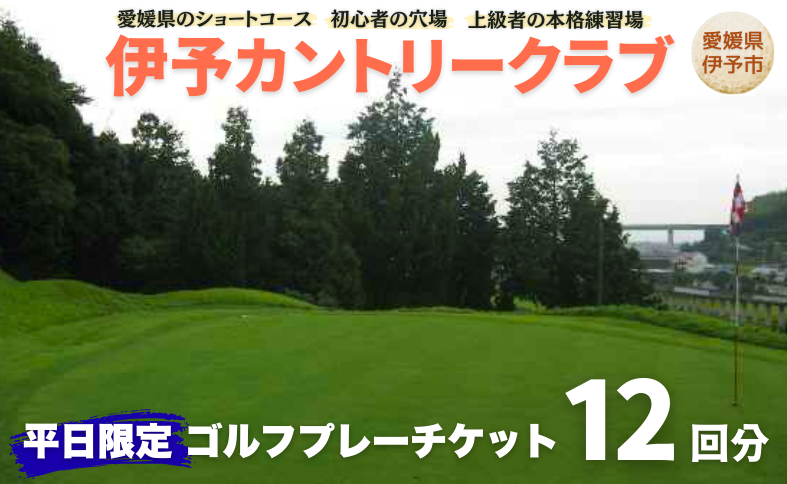 ゴルフ場 利用券 平日限定 ゴルフプレーチケット 12回分 周り放題 伊予カントリークラブ 愛媛 伊予市｜F19