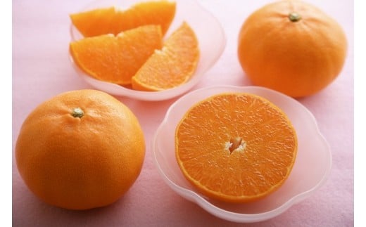 【2027年先行予約】みかん 愛媛 せとか (1.5kg) 人気 数量限定 【2027年2月下旬以降発送予定】 柑橘 愛媛 伊予市｜B30