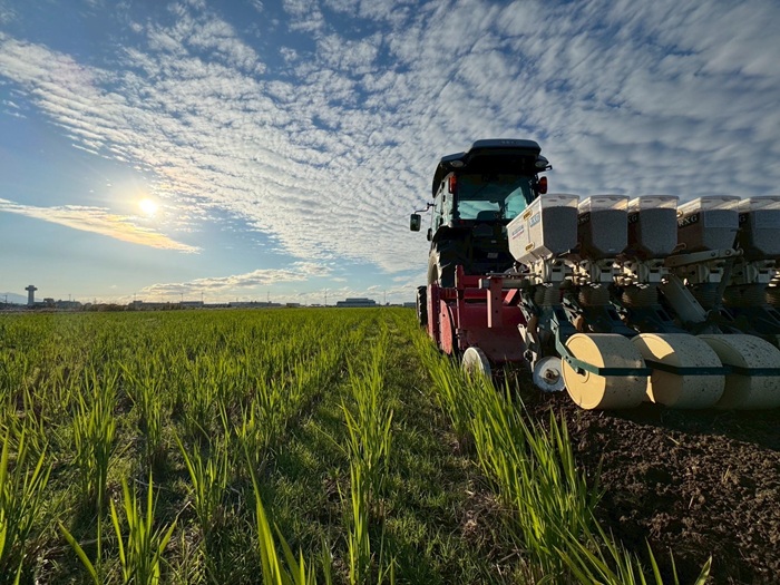 お米 令和7年産 5kg にこまる 特別栽培米  先行予約  【2025年11月以降発送】 精米 米 こめ コメ 白米 ごはん ライス 愛媛 伊予市｜C150