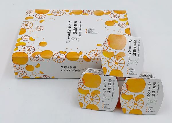 みかん  愛媛の柑橘 たくさんゼリー 6個セット 人気 数量限定 柑橘 伊予市｜B279