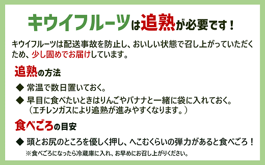 キウイ 2kg 愛媛 国産キウイフルーツ ヘイワード 先行予約 【2026年11月から順次発送予定】 数量限定 伊予市｜A20