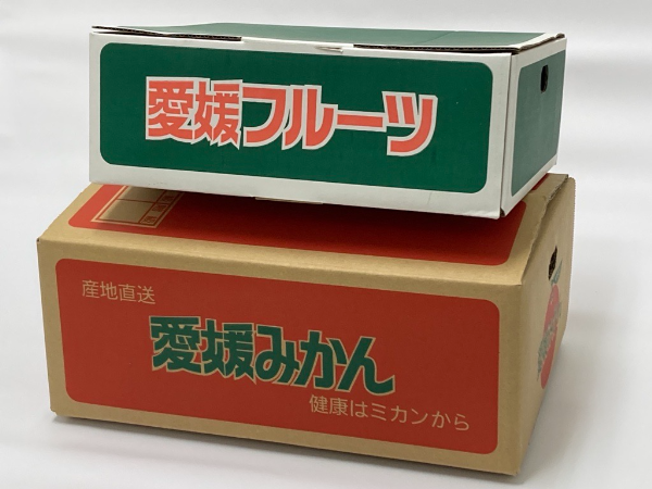 【2026年先行予約】みかん 愛果28号と温州みかんのセット 小玉マルチ 【12月上旬から順次発送予定】 紅まどんなと同一品種 人気 数量限定 愛媛 柑橘 伊予市｜B163