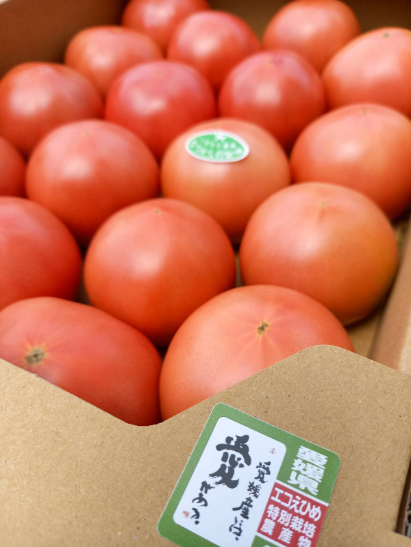 トマト 4kg 20玉〜28玉 麗月 産地直送 野菜 新鮮 サラダ 赤熟 くぼなか農園 愛媛 伊予市 | B362