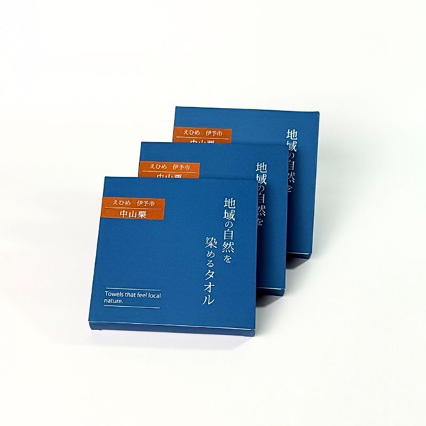 タオルハンカチ 5枚 ベージュ 天然加工 今治産 今治産タオル 地域の自然を染めるタオル 河上工芸所｜C119-b