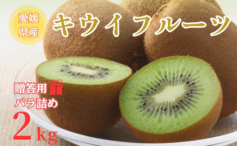 【2026年先行予約】キウイ バラ詰め 2kg 贈答用  農園直送 先行予約【10月中旬から順次発送予定】 キウイフルーツ 愛媛 数量限定 伊予市｜A125