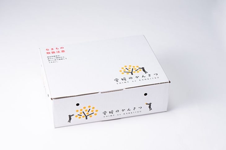 【2027年先行予約】デコポン 2.4kg みかん 愛媛 【2027年3月上旬から順次発送予定】 人気 数量限定 先行予約 柑橘 伊予市 ｜B32