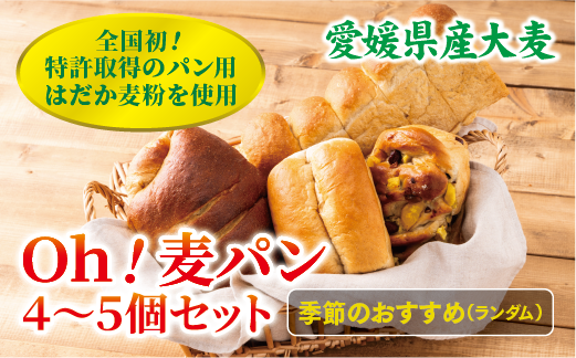 パン 無添加 老舗 4〜5個セット ブレッド おまかせ ランダム 詰め合わせ ブランド認定 学校給食 朝食 朝ごはん 季節 おすすめ はだか麦 国産小麦 国産素材 おやつ こだわり 食物繊維豊富 安心 安全 篠崎ベーカリー 愛媛 伊予市 ｜B66