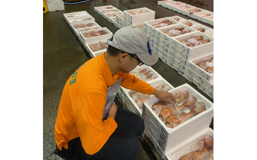 鯛めし 愛媛 みかん鯛めしの素 3合炊き 魚屋さんが作った 自家製 吉井鮮魚｜A62