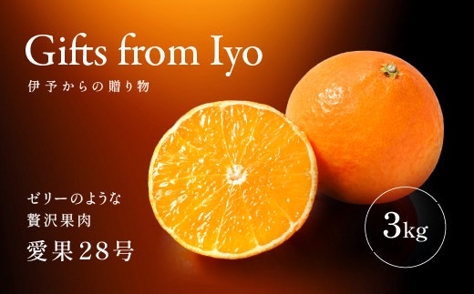 【2026年先行予約】みかん 愛果28号 約3kg M〜3Lサイズ混合 紅まどんな同一品種 【2026年11月下旬より発送予定】 愛媛 人気 柑橘 フルーツ 国産 おすすめ 伊予市｜B552