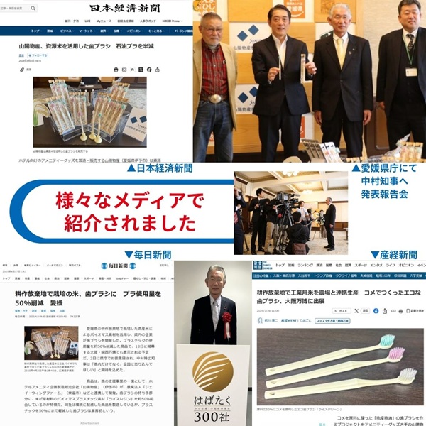 歯ブラシ お米歯ブラシ ライスクリーン ふつう 6本 【3色×2本】お米でできた歯ブラシ オーラルケア ハブラシ 山陽物産｜B439