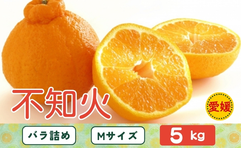 みかん 不知火 しらぬい 5kg Mサイズ バラ詰め 【3月中旬順次発送予定】 愛媛みかん ミカン 蜜柑 果物 くだもの フルーツ 柑橘 かんきつ 柑橘類 おすすめ 人気 国産 愛媛 伊予市 【先行予約】 【数量限定】｜B514